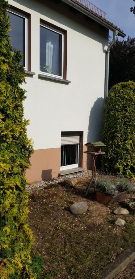 Apartment Schoene Aussicht Treben
